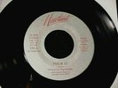 VISION Psalm 23/Dynamos RARE FLORIDA CHRISTIAN ROCK Promo only 45 Lynyrd Skynyrd