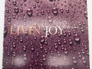 Livin' Joy - Dreamer 12” Single + Remixes Vinyl Record