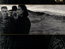 U2 on LP 