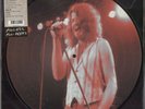 Ian Gillan - Access All Areas RARE Limited Edition Picture Disc LP Vinyl