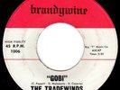60s GARAGE POUNDER - TRADEWINDS on BRANDYWINE - GOBI/HEY LITTLE GIRL - HEAR