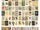 ANERZA 100 PCS Vintage Wall Collage Kit Aesthetic Pictures, Cottagecore Room NEW