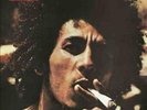Catch A Fire (LP) by Bob Marley [Vinyl] (mcmlp3600689)