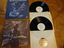 2 Blues Lps Hound Dog Taylor #4701 & The Son Seals Blues Band #4703 ALLIGATOR NM