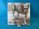 Alice In Chains Self-Titled 2xLP Vinyl White Colored Tri-pod