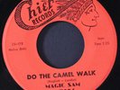 MAGIC SAM: every night about this time / do the camel walk CHIEF 7