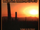 Black Rainbows - Twilight In The Desert Black Vinyl  (2022 - EU - Original)