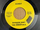 THE ESSENTIALS 45rpm 