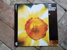 New Fast Automatic Daffodils    Big   1990    12” Vinyl     ex/ex