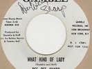 Dee Dee Sharp What Kind Of Lady Gamble Demo Soul Northern Motown