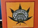 Brant Bjork & Low Desert Punk Band BLACK POWER FLOWER (2014/Austria - Napalm)