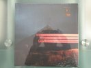 DOMINIC FIKE WHAT COULD POSSIBLY GO WRONG New SEALED EURO black vinyl LP 2020