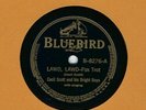 c 78 RPM Cecil Scott Bluebird B-8276 in E-