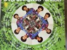 RARE CLASSIC LP VINYL ALBUM: The Originals Green Grow the Lilacs (FB)