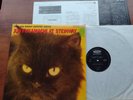 JAPAN  Ex JUN FUKAMACHI At Steinway 1976 JAZZ DIRECT CUTTING INSERT & INNER LP