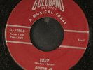 GUITAR JR.: please GOLDBAND 7
