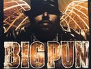 Big Pun - Endangered Species '01 2xLP US ORG  Terror Squad WLP EX/EX+
