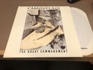 Camouflage The Great Commandment 12