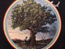 Bill Fay - Countless Branches (DELUXE 2X 12