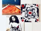 Vinyl LP Lot: Red Hot Chili Peppers Blood Sugar, Californication, Mother's Milk