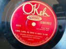 BLUES ELDER RICHARD BRYANT  Okeh 8559 (romping stomping jug band)  E-