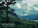 Bonobo Black Sands Vinyl NEW