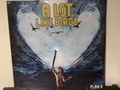 A Lot Like Birds - Plan B Vinyl LP 