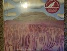Post Animal ‎– When I Think Of You In A Castle Vinyl Magenta Pink Early Bird