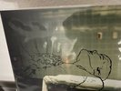 Copeland Beneath Medicine Tree Vinyl
