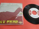 NAT FEER -  RETURN AGAIN / MAGIC - ITA PROG ROCK - APOTEOSI -TANK label -RARO