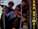 The Animals EP Animals 7