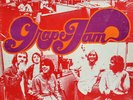 Moby Grape Grape Jam PITMAN PRESSING Columbia Vinyl LP