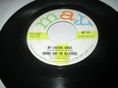 Ronnie and the Relatives, My Guiding Angel. Ronettes, Rare Doo-Wop  Record 45 VG