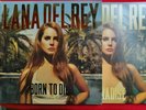 LANA DEL REY Born To Die: The Paradise Edition Vinyl Record LP.+Slip case+insert