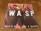 W.A.S.P. Animal (F**k Like A Beast) 12