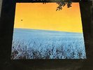 Unicorn Too Many Crooks VINYL LP Record Album