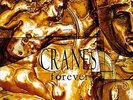 Cranes Forever  Vinyl LP New Sealed