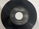 China White Rare Private Ohio Metal 45 RPM Breaking Away/ Victims Of Night