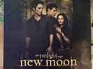 Twilight Saga: New Moon Original Motion Picture Soundtrack LP Vinyl