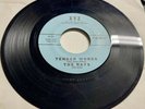 Rays 1959 DOO WOP 45 Tender Words / After So Long A Time XYZ strong VG/VG+ HEAR