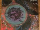 Grateful Dead Live at Winterland 12/31/1971 180g VINYL UK Import New SEALED