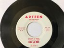 RARE DOO WOP - DAL LA ROC - STOP WHAT YOU'RE DOING / WHAT A FOOL - ARTEEN