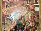 screeching weasel - Teen Punks In Heat - 12” Vinyl Record 2000, Panic Button Rec