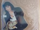 KATE BUSH SHAPED VINYL PICTURE DISC INTERVIEW 85 - BUSH 7S