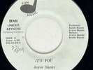 JOYCE BANKS It's You / Give it Up Fun Music Modern Soul Boogie VG+45 HEAR