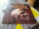 PANTERA 