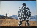 Pink Floyd  -  Delicate soud of thunder -  /press in Holland/    - 2 LP