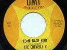 HEAR - Rare Texas Garage 45 - The Chevelle V - Come Back Bird - UMI #100