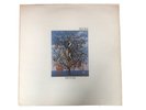 Talk Talk Spirit Of Eden; Original Vinyl LP; PCSD 105: VG