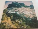 BAND OF HORSES - MIRAGE ROCK VINYL LP, Gatefold * RARITÄT * NEAR MINT *